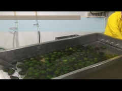 วิธีการประมวลผล HPP หรือเย็นผงอะโวคาโด?